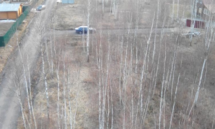 Плешкино