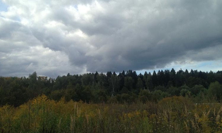 Подолье
