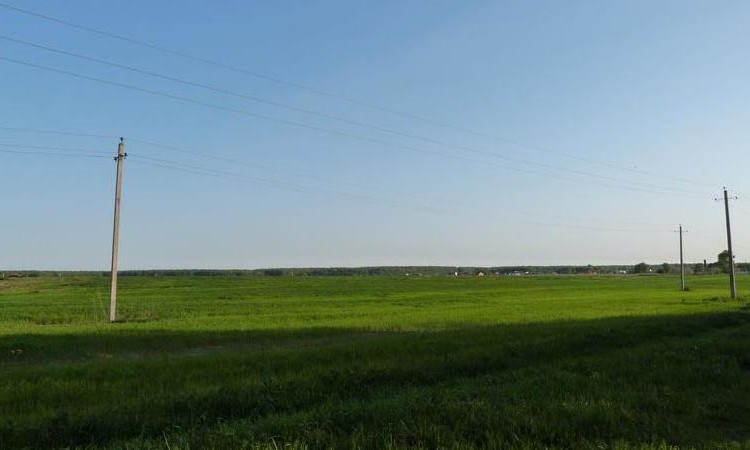 Полесье
