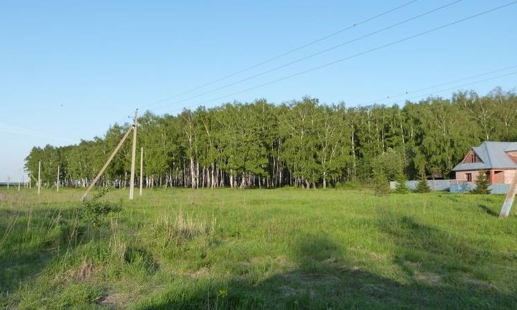 Полесье