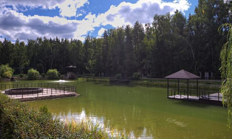 Полянка