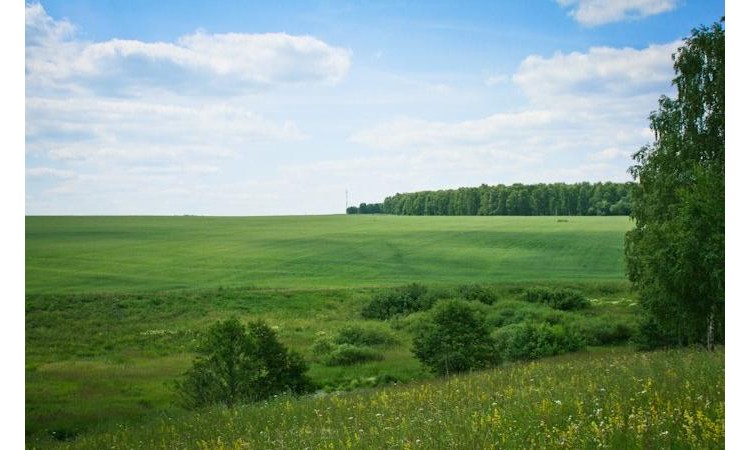 Прибрежный парк
