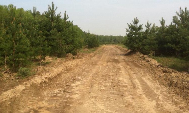 Прилесье