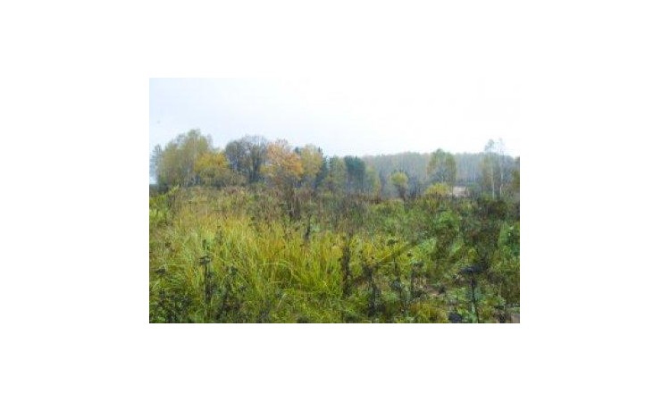 Пролетарский