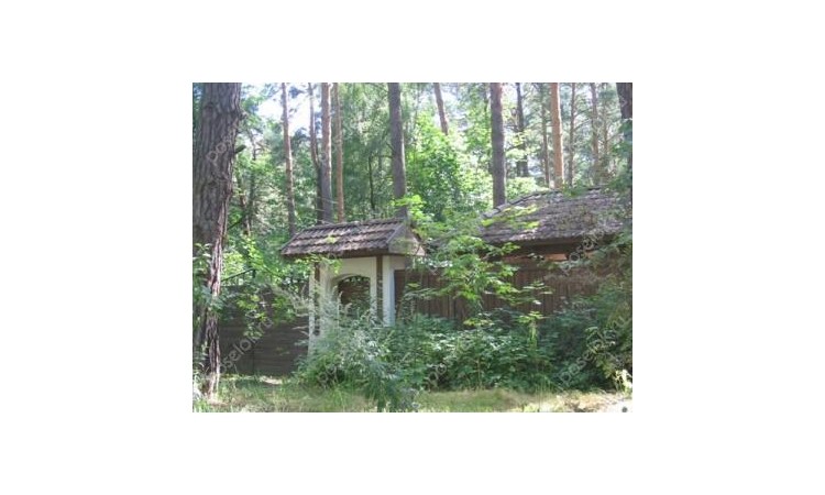 Ранис