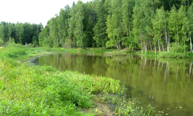 Республика Сантория