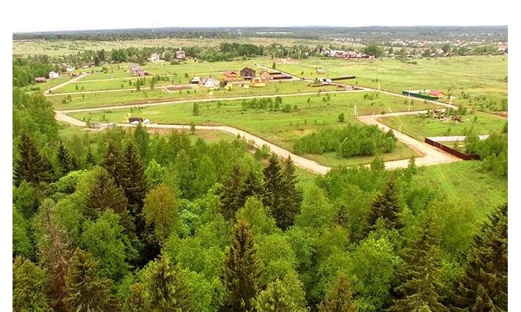 Рижская Роза