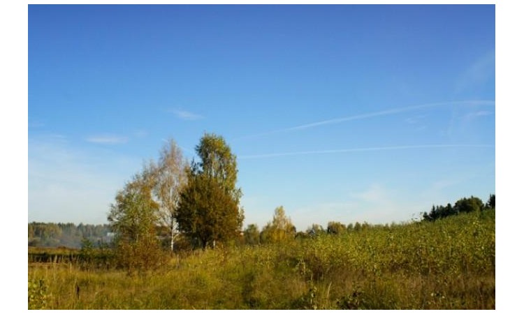 Родной берег