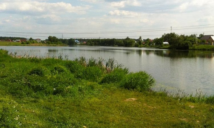 Романово Лайф