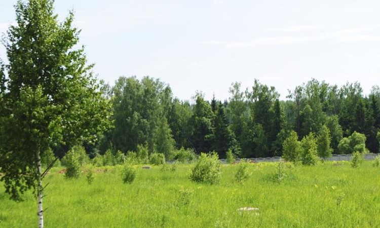 Романтика