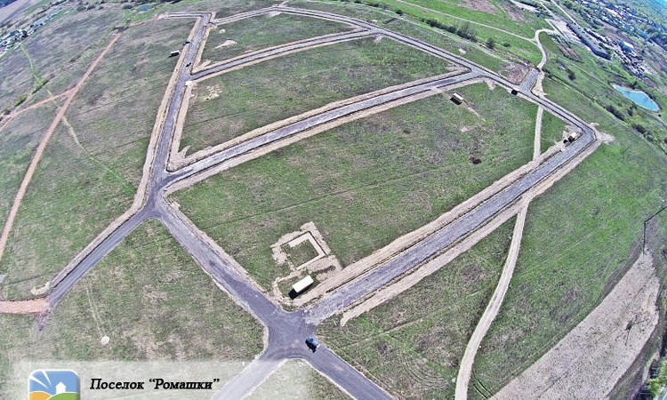 Ромашки