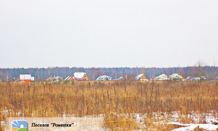 Ромашки