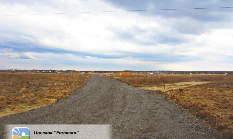Ромашки