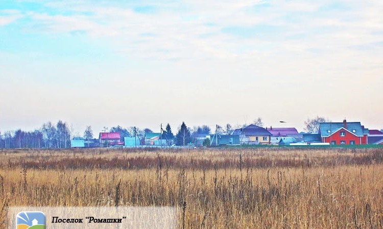 Ромашки