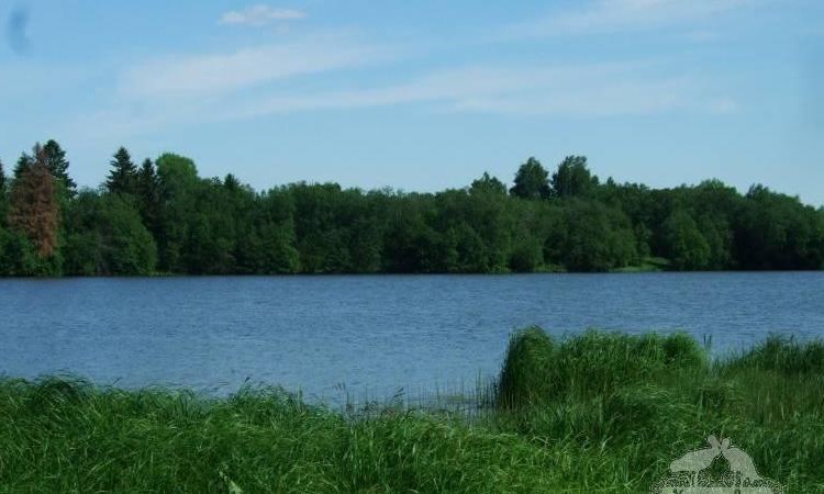 Рузские берега