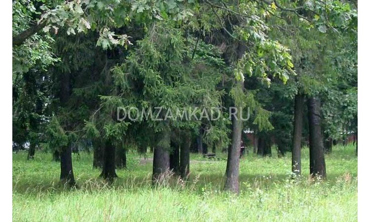 Румянцево (Красная Горка)
