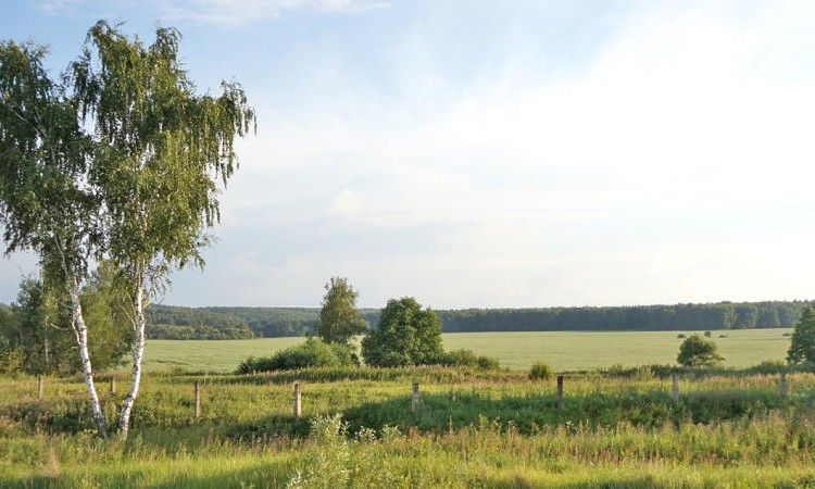 Светлозерье