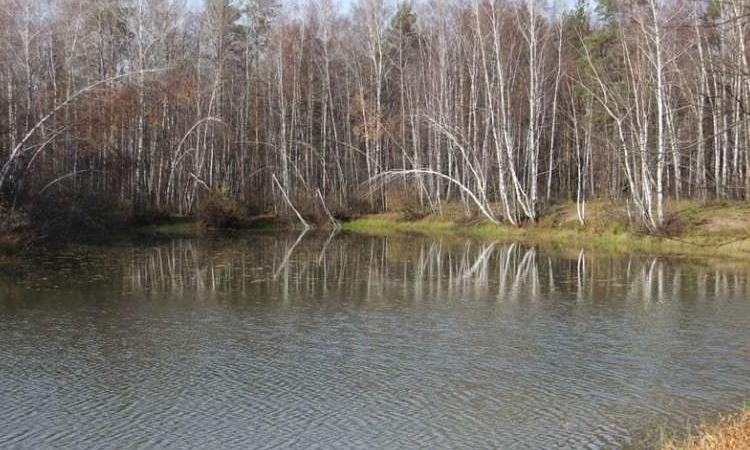 Сеченка парк