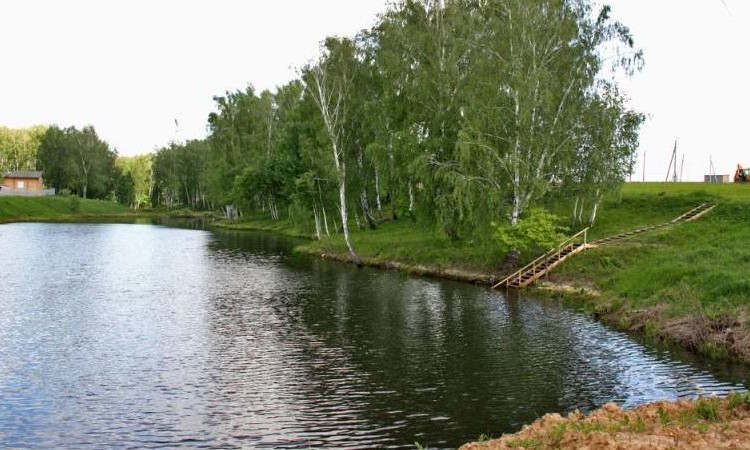 Сиеста