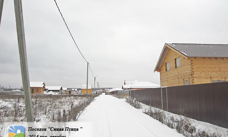 Синяя птица