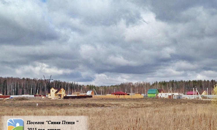 Синяя птица