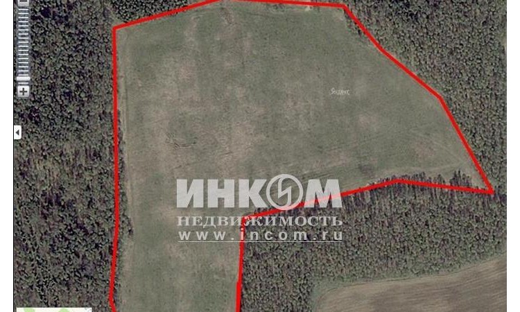 Солнечная опушка