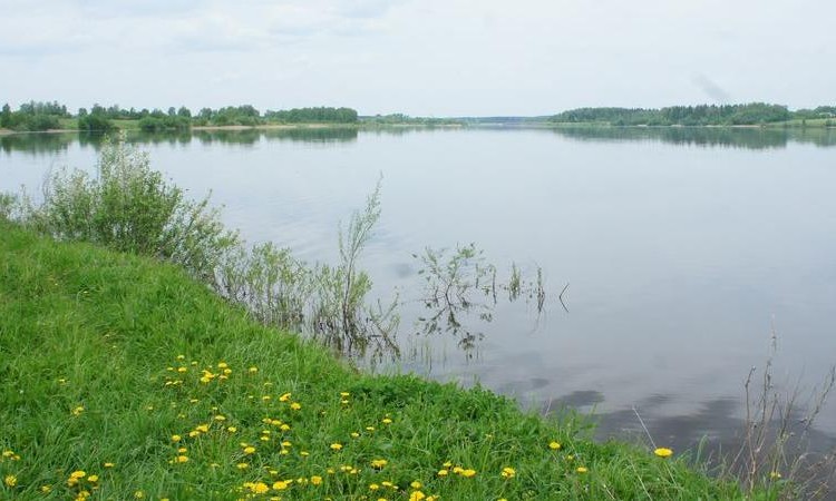 Солнце