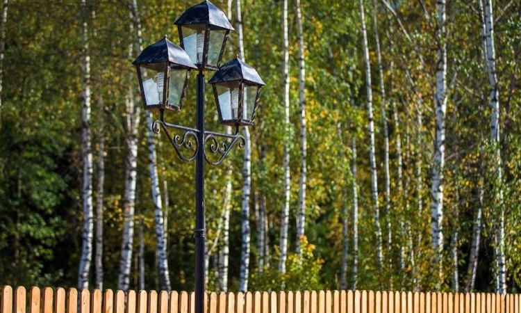 Соловьи