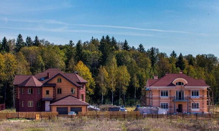 Соловьи