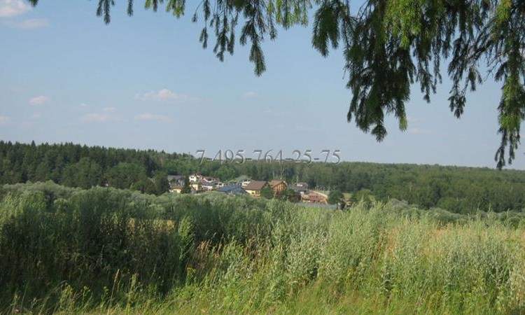 Сосновый бор