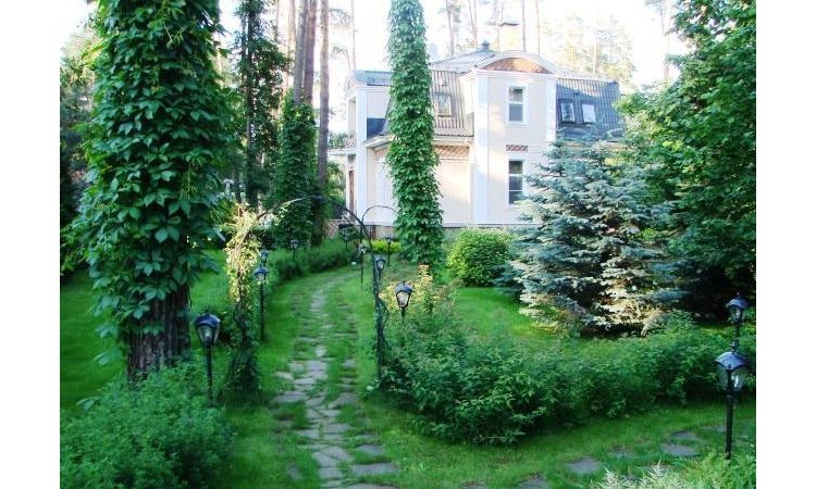 Сосновый бор (Николина Гора)