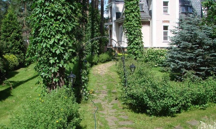 Сосновый бор (Николина Гора)