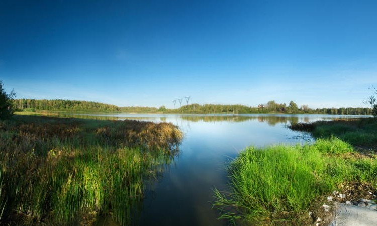 Старые Кузьменки