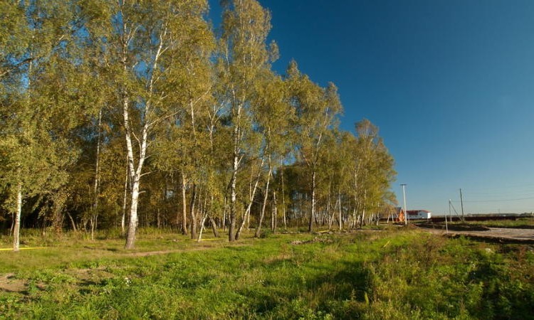 Старые Кузьменки
