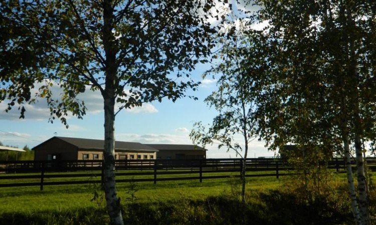 Твоя Вотчина (Country Estates)