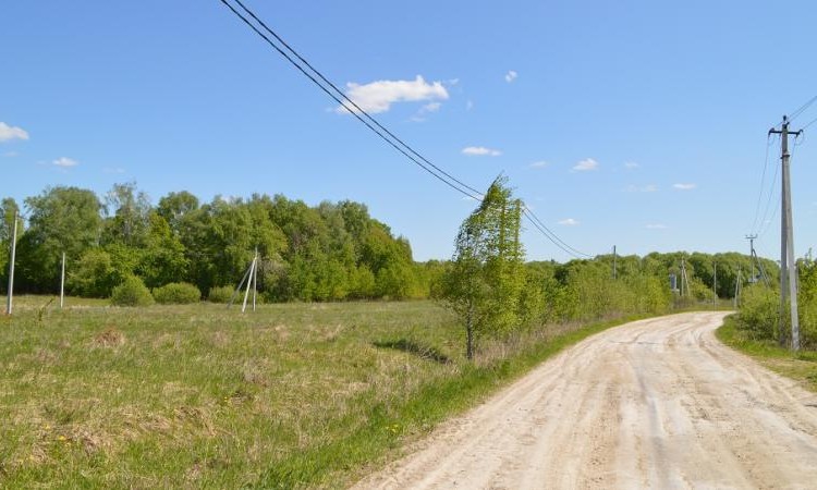 Тихая заводь