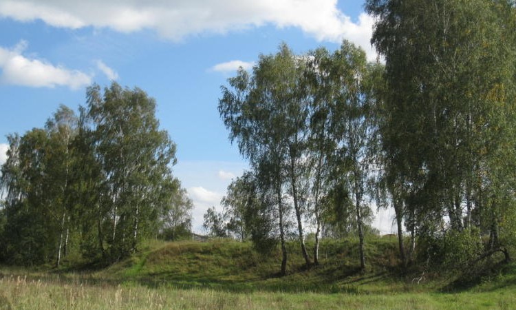 Тургенево