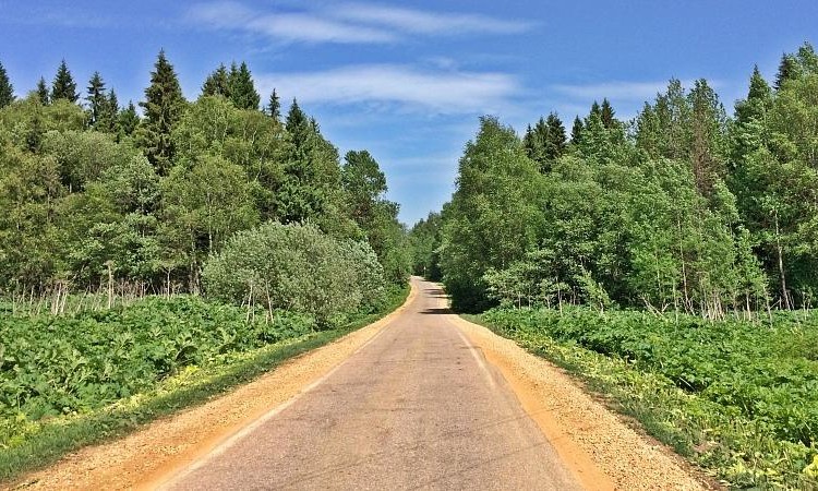 Тюльпаново