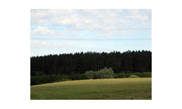 Усадьба Коровино