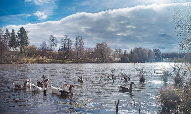Усадьба Романцево