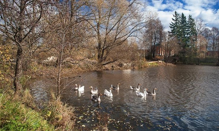 Усадьба Романцево