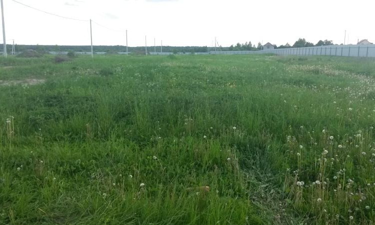 Успенское