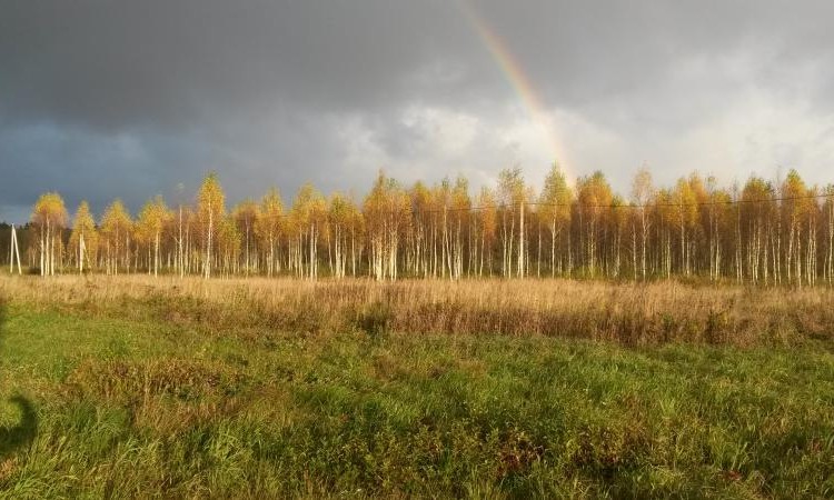 Успенское