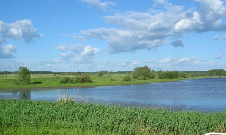 Холмец