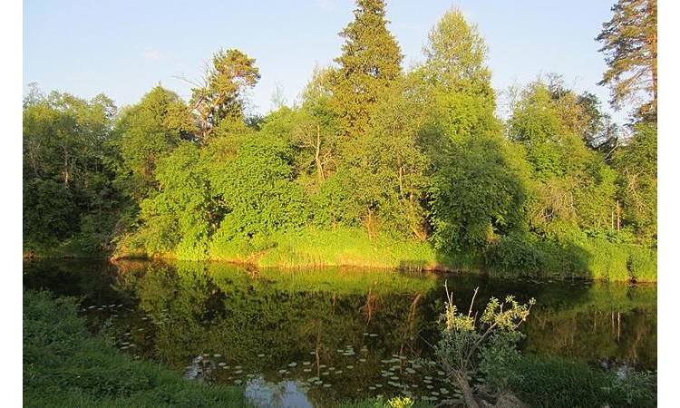 Царские берега