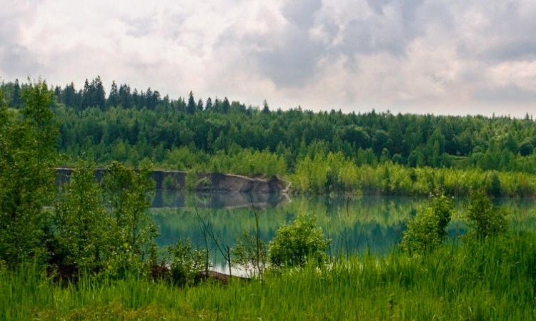 Цернское