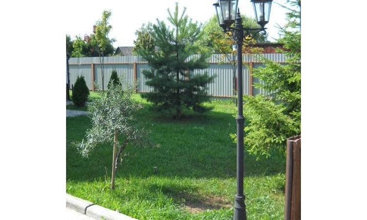 Шаганино