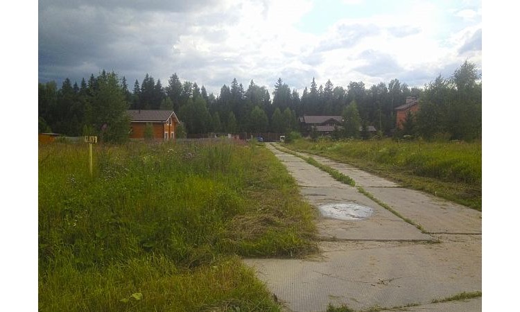 Шишкин