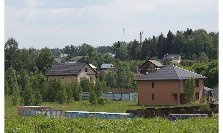 Шишкин