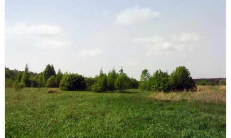 Школьник